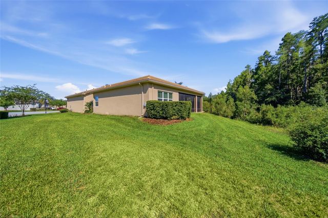 30852 SPRUCEBERRY COURT, Wesley Chapel, FL 33543