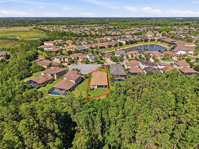 30852 SPRUCEBERRY COURT, Wesley Chapel, FL 33543