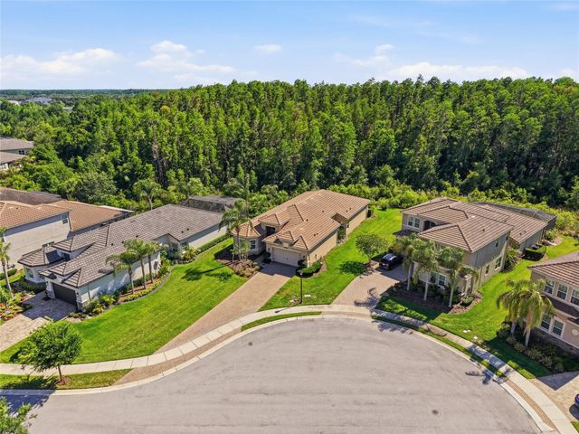 30852 SPRUCEBERRY COURT, Wesley Chapel, FL 33543