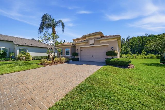 30852 SPRUCEBERRY COURT, Wesley Chapel, FL 33543
