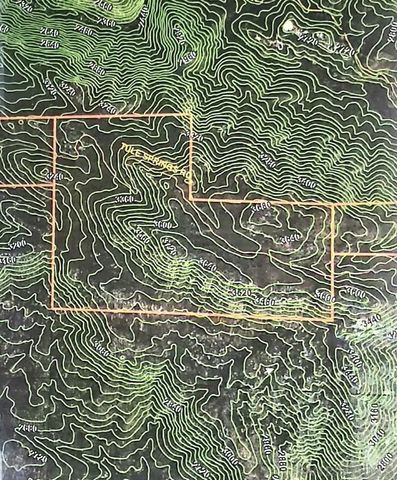 0 Tule Springs Road, Julian, CA 92036