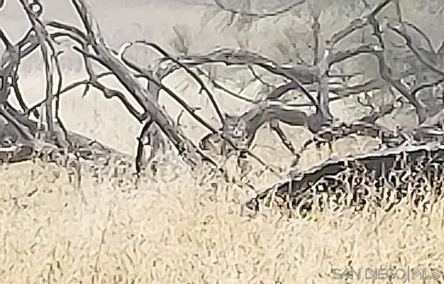 0 Tule Springs Road, Julian, CA 92036