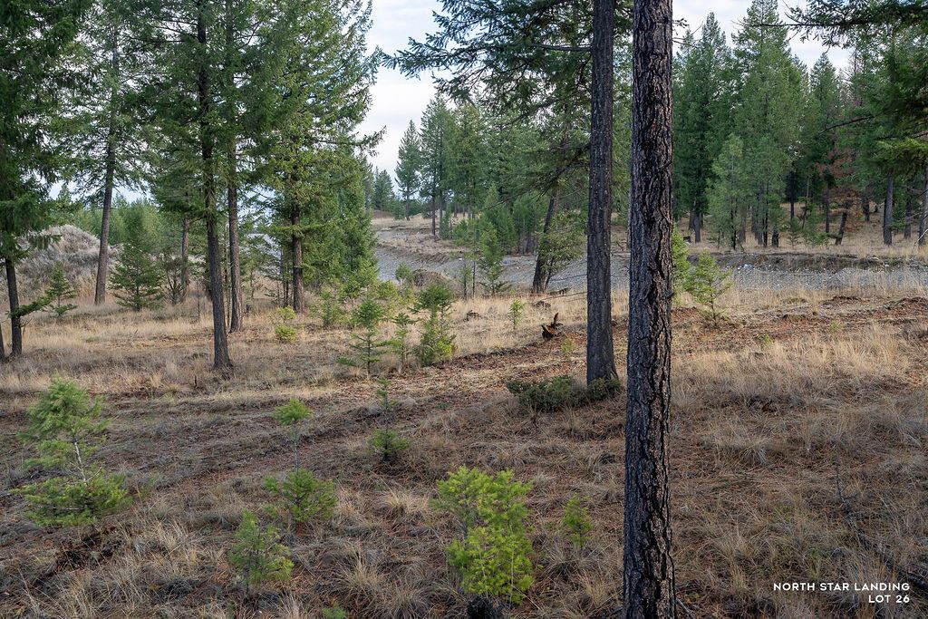 Image 4 of property listing at Lot 26 Origin Lane, Eureka, MT 59917