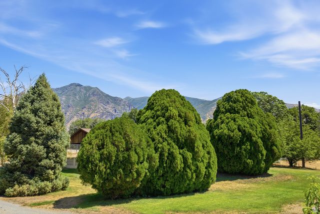 307 W 400 S, Springville, UT 84663