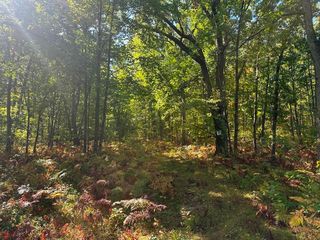 300-31 Easement Road, Harrison, MI 48625