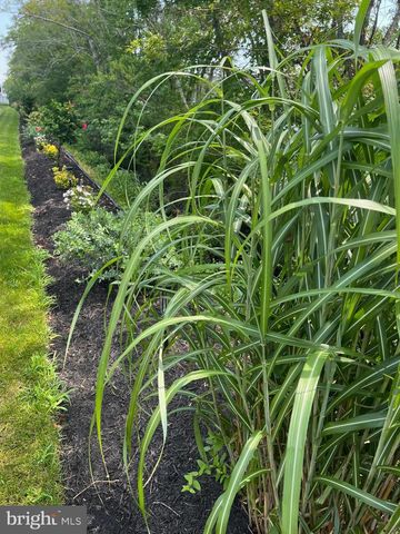 38610 SUNFLOWER ST, Millville, DE 19967