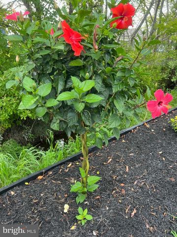 38610 SUNFLOWER ST, Millville, DE 19967