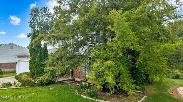 4510 Shenandoah Dr, Louisville, KY 40241