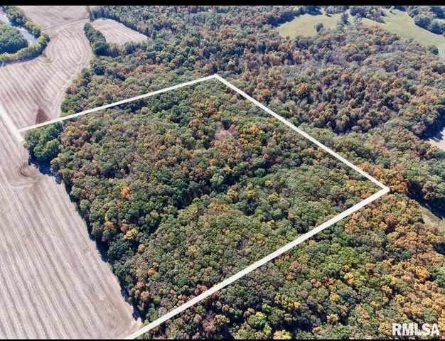 000 3100 East Avenue, Cowden, IL 62422