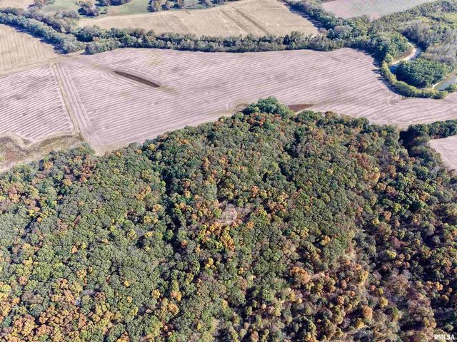 000 3100 East Avenue, Cowden, IL 62422