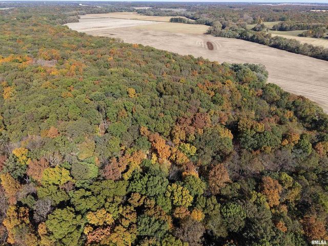 000 3100 East Avenue, Cowden, IL 62422