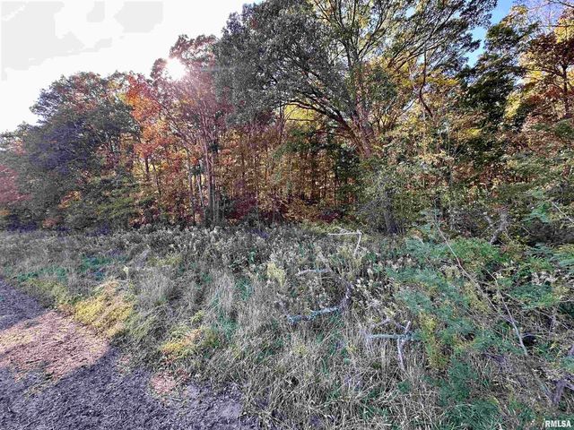 000 3100 East Avenue, Cowden, IL 62422