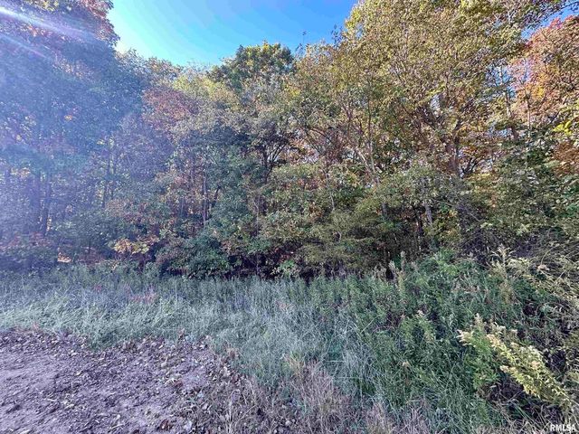 000 3100 East Avenue, Cowden, IL 62422