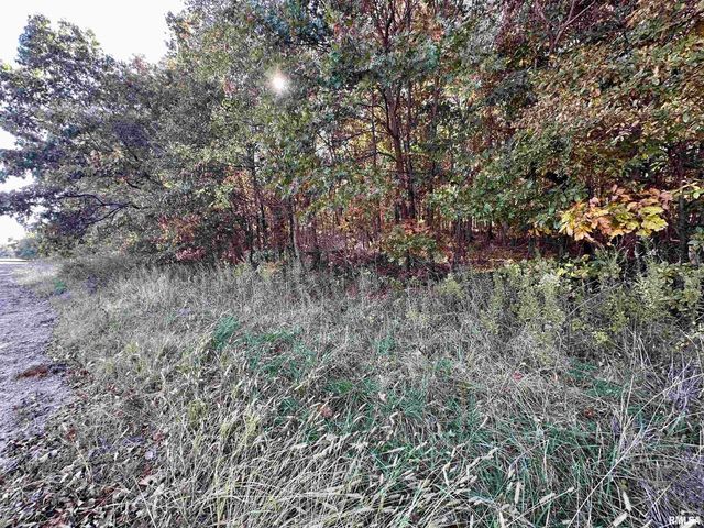 000 3100 East Avenue, Cowden, IL 62422