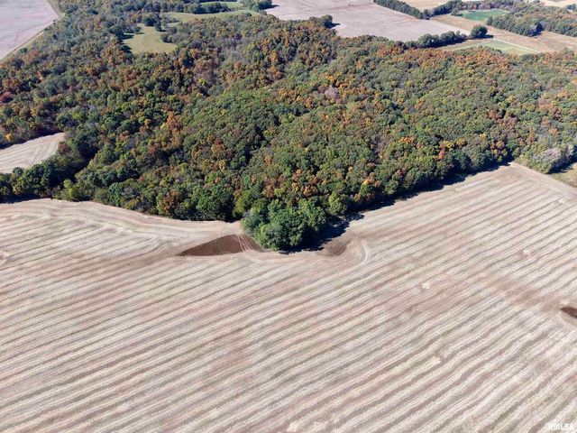 000 3100 East Avenue, Cowden, IL 62422