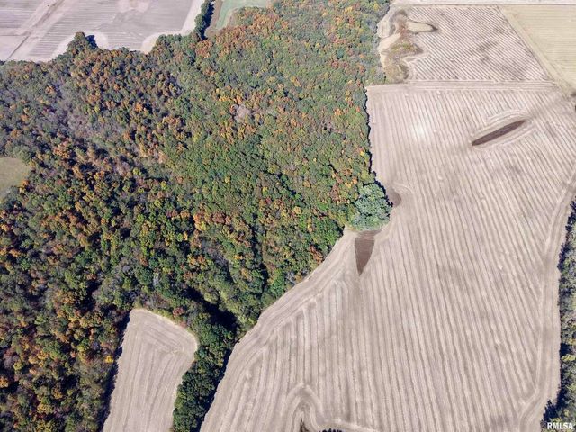 000 3100 East Avenue, Cowden, IL 62422