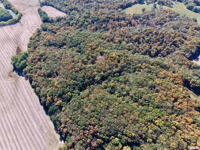 000 3100 East Avenue, Cowden, IL 62422