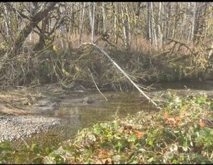 0 Sauk Road, Rockport, WA 98237