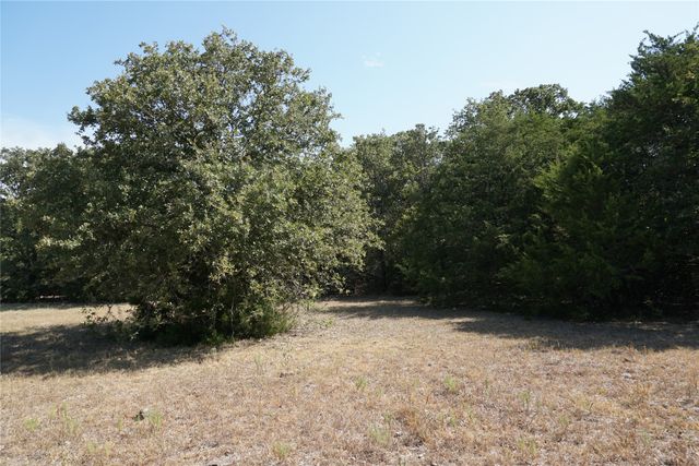 Tract 2 NE County Road 1030, Rice, TX 75155