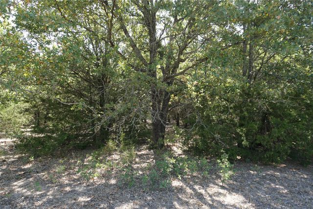 Tract 2 NE County Road 1030, Rice, TX 75155