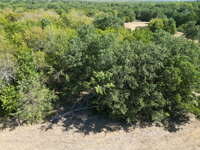 Tract 2 NE County Road 1030, Rice, TX 75155