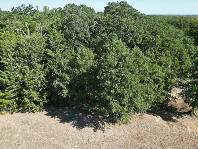 Tract 2 NE County Road 1030, Rice, TX 75155