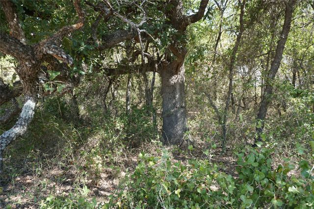 Tract 2 NE County Road 1030, Rice, TX 75155