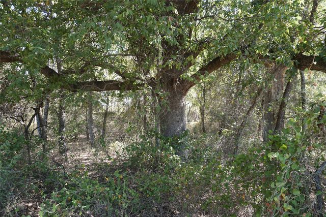 Tract 2 NE County Road 1030, Rice, TX 75155