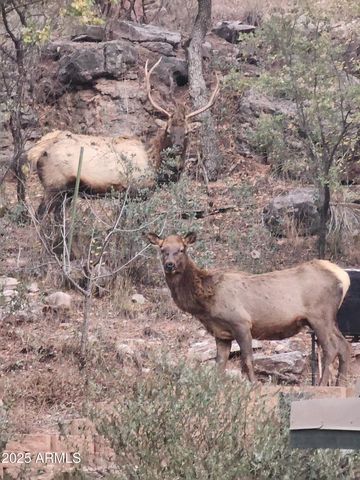 408 S BUENAGUA Road, Payson, AZ 85541