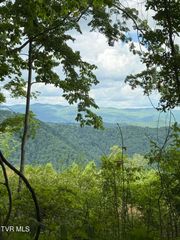 00 Heavens View (118 Acres) Lane, Gate City, VA 24251