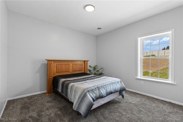 110 Carlisle Avenue, Mingo Junction, OH 43938