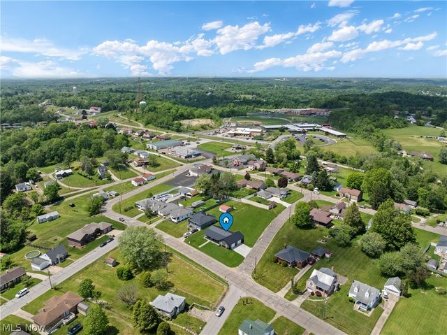 110 Carlisle Avenue, Mingo Junction, OH 43938