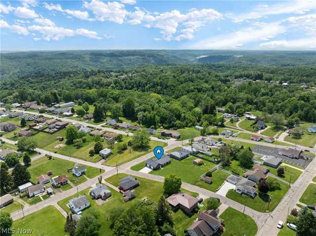 110 Carlisle Avenue, Mingo Junction, OH 43938