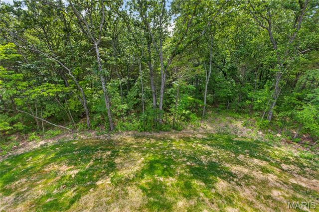 1665 Scenic Drive, Festus, MO 63028