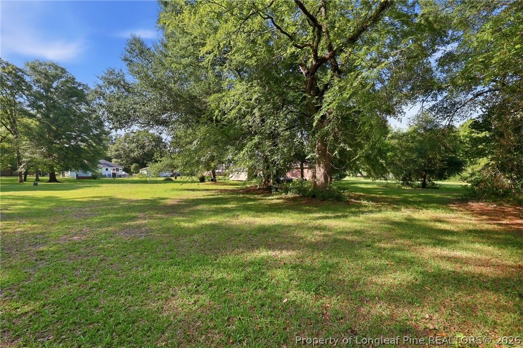 4580 Mill Street, Hope Mills, NC 28348 — photo 46