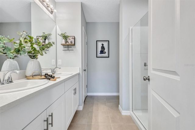 6255 SPRINGMONT LOOP, Palmetto, FL 34221
