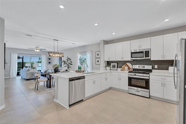 6255 SPRINGMONT LOOP, Palmetto, FL 34221