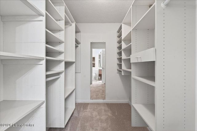 1306 Forest Park Rd, Louisville, KY 40223