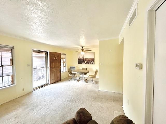 7801 Shoal Creek BLVD 246, Austin, TX 78757