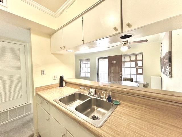 7801 Shoal Creek BLVD 246, Austin, TX 78757