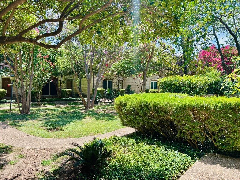 7801 Shoal Creek BLVD 246, Austin, TX 78757