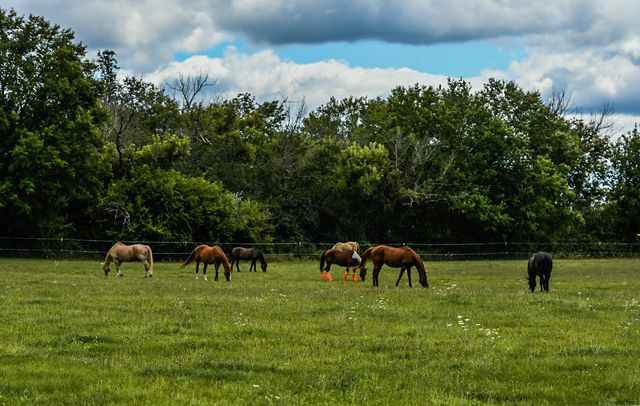 10015 IL Route 120 Highway, Woodstock, IL 60098