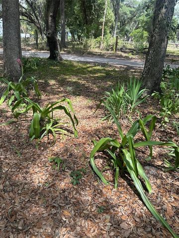 9068 SE 12TH DRIVE, Webster, FL 33597
