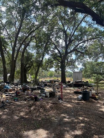 9068 SE 12TH DRIVE, Webster, FL 33597