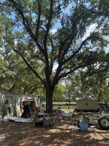 9068 SE 12TH DRIVE, Webster, FL 33597