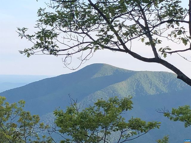 788 DEVILS KNOB LOOP, Roseland, VA 22967