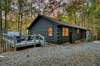 50 Lakeview Dr, Cherry Log, GA 30522