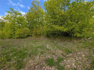 Lot 7 ACORN RIDGE ESTATES SUBDIVISION, Mosinee, WI 54455