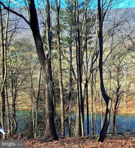 LOT 10 KAUFFMANS MILL RD, Luray, VA 22835