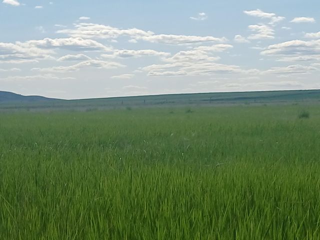 295xx W Hallett Rd, Medical Lake, WA 99022